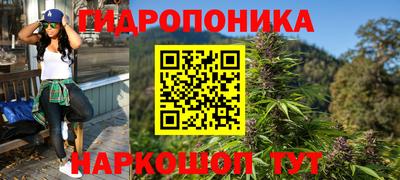 прущие крисы Лесосибирск