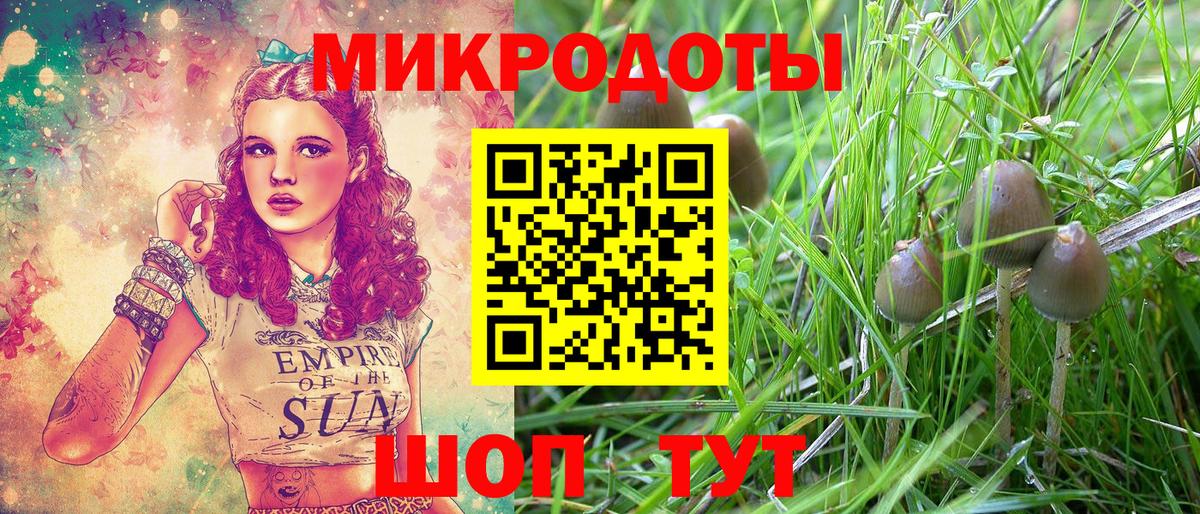 что такое наркотик  Вход с VPN  Гай  Псилоцибиновые грибы ЛСД 