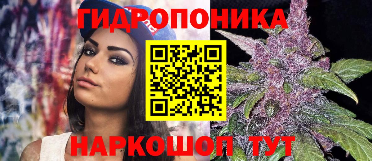 Шишки марихуана VHQ  Вход с VPN  Шишки марихуана тримм  Марихуана White Widow  Гай 